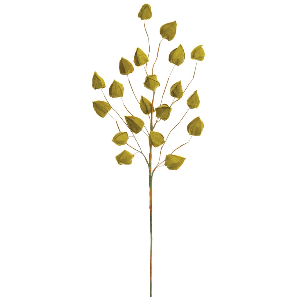 D205899S_1.jpg img